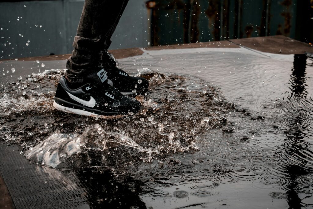 stan diordiev c2HIzL rb3g unsplash